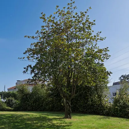 Santa Rita Affittacamere 3*