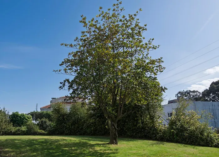 Santa Rita Guest house 3*